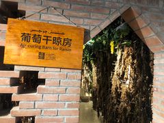 -新疆国际大巴扎