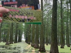 -渌洋湖湿地公园