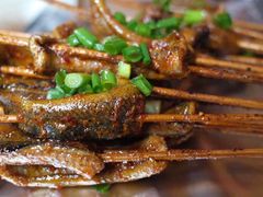 鳝鱼-晓靖轩烧烤(沙河风情店)