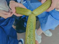 -长春奥林匹克公园