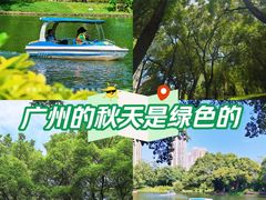 -晓港公园