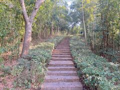-天目湖涵田度假村