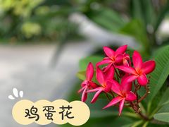 -厦门日月谷温泉渡假村