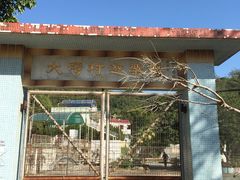 -南丫岛