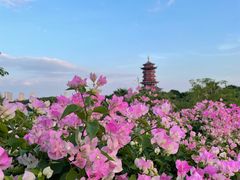 -厦门园林博览苑
