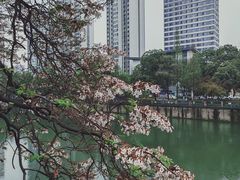 -红星桥(地铁站)