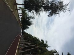 万绿园-万绿园