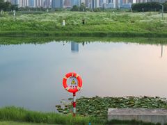 -洋湖国家湿地公园