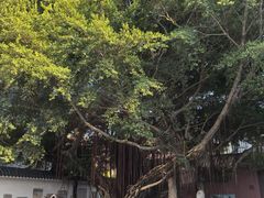 -闽粤南澳总镇府