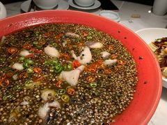 -初蓉丨遇见新川菜(亲贤街荣耀店)