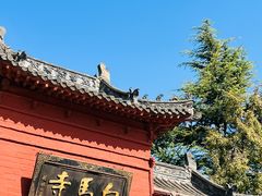 -洛阳白马寺