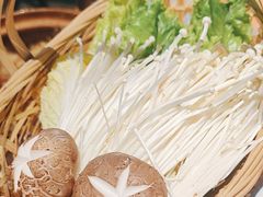 -同仁四季椰子鸡(车公庙店)