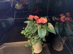 -喜湘宴·精致湖南菜(和平西桥店)