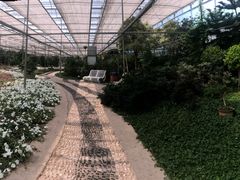 -龙达温泉生态城