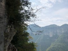 -鹿院坪生态旅游景区