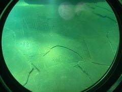 -白鹤梁水下博物馆