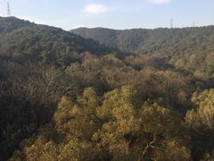 -六和塔文化公园