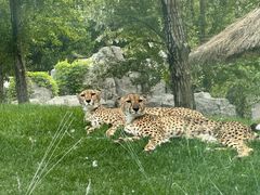 -北京野生动物园