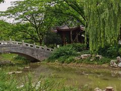 -堤角公园