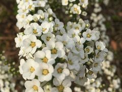 -白塘生态植物园