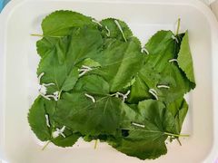 -悦藤爱托育早教中心(华凌公馆店)