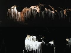 -怀托摩萤火虫洞