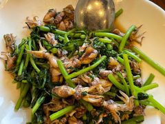 茼蒿墨鱼-俏东方·海味水饺·青岛菜(崂山店)