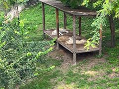 -石家庄市动物园