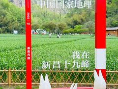 -十九峰景区