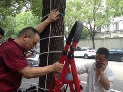 -罗阳人家私房菜(罗阳路店)