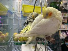 -三旗百汇商品城