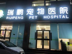 -瑞鹏宠物医院·内科·中兽医·骨科(苗圃店)