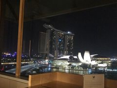 -新加坡丽思卡尔顿美年酒店