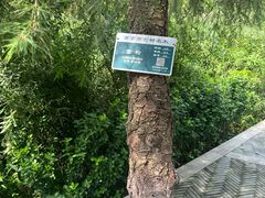-菊花台公园