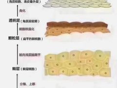 -上海第一八佰伴