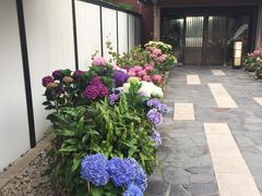 -南紀白浜 浜千鳥の湯 海舟