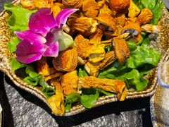 -新草堂锅物料理(泉城路店)