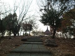 -香雪海