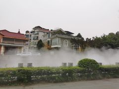 -桂湖森林公园