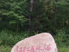 -五营国家森林公园