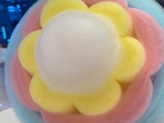 -鹏欣水游城