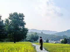 -塔川景区