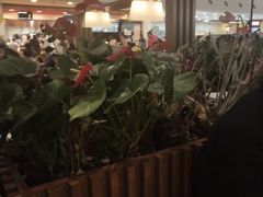 -麦当劳(杭州东站高铁店)