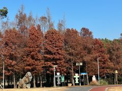 -上海长兴岛郊野公园