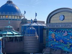 -海底巡游艇:尼莫和好友的海洋世界