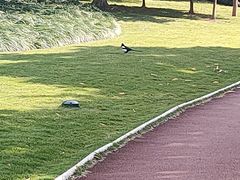 -杭州城北体育公园