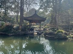 -杭州植物园