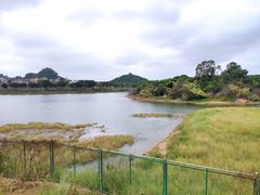 -立新湖公园