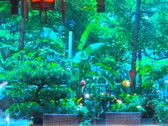 -山水茶艺馆·点心粤菜·30年老字号