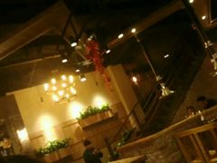 -海拉尔碳烤羊腿烤鸽子(吕营店)